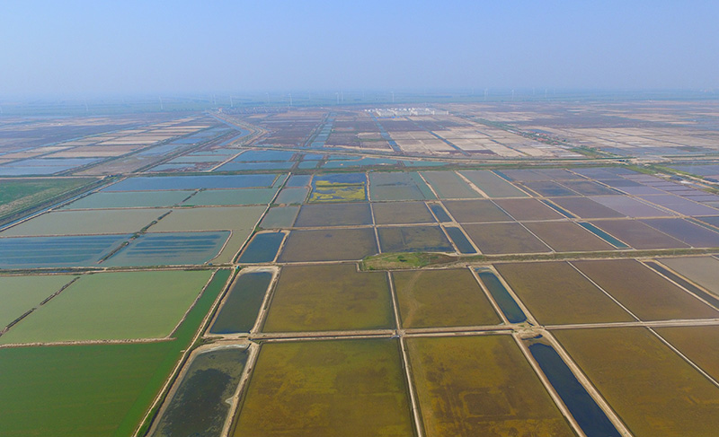 黄海新区,盐城黄海新区,多重国家战略交汇叠加区,盐城市重特大项目主要承载地